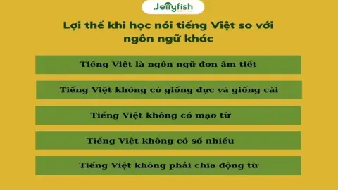nước bỉ nói tiếng gì và cách học nó hiệu quả như thế nào？