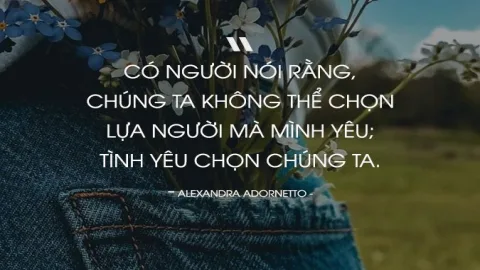 Chuyển câu kể thành câu khiến, bạn nên dùng cách nào？ Hãy lựa chọn!