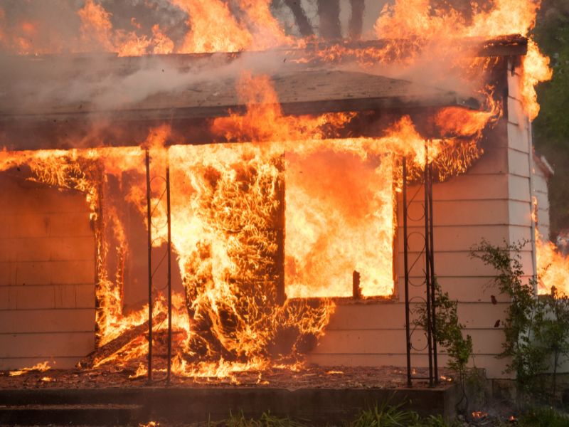 Loài mơ thấy nhà cháy thường xảy ra khi nào？ Hãy tìm câu trả lời