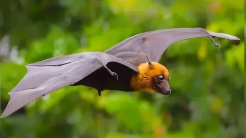 Đề về 00 đánh con gì là tốt？ Giải mã giấc mơ và cặp số đẹp hôm nay