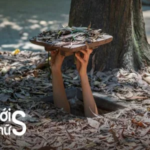 Những thiên đường mù có an toàn không？ Những lưu ý khi đi!