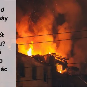 Loài mơ thấy nhà cháy thường xảy ra khi nào？ Hãy tìm câu trả lời