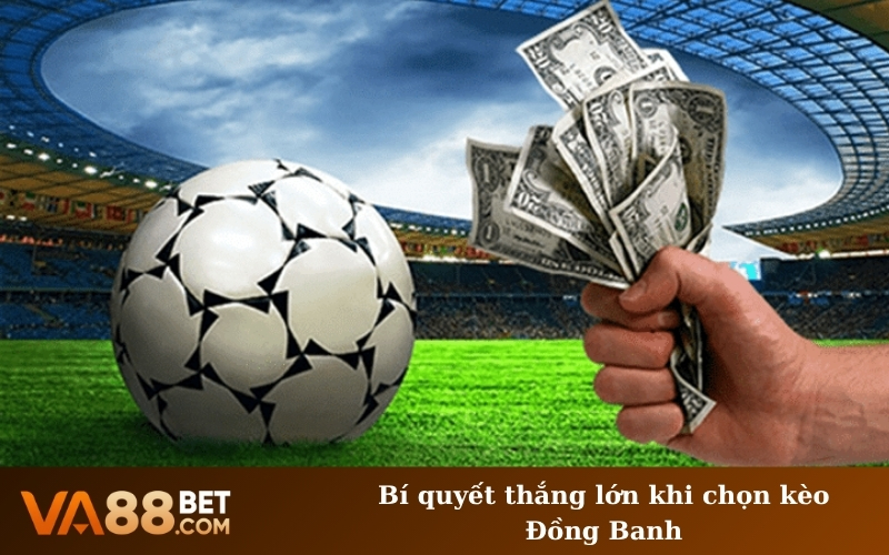 Hướng dẫn đọc Kèo Đồng Banh chi tiết từ A đến Z cho tân thủ mới vào nghề.