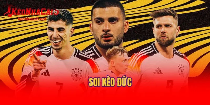 Soi kèo trận Argentina nên dùng cách nào？ Hướng dẫn soi kèo dễ hiểu!