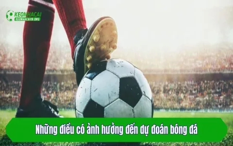 Dự đoán bóng đá Jbovnd có đáng tin không？ Xem ngay đánh giá chi tiết!