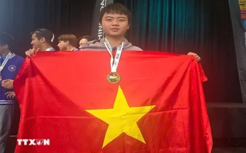 Đội thể thao của trường có 45 nên tham gia những giải đấu nào？ Gợi ý từ chuyên gia!