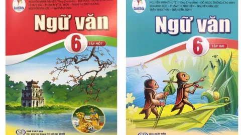 Soạn văn 6 vua chích chòe có những kiểu bài nào？ Hướng dẫn chi tiết