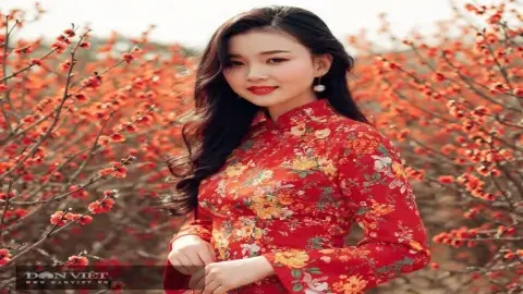 Từ đồng nghĩa với từ kiên trì là gì？ 5 từ hay dùng bạn nên biết!