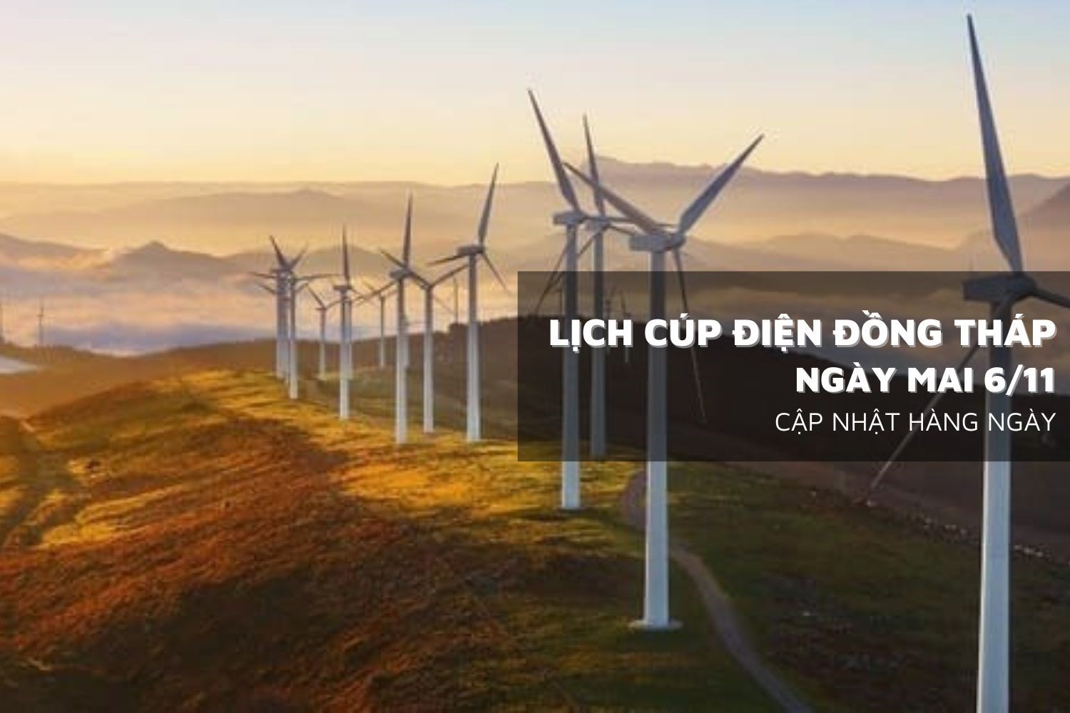 Lịch cúp điện hồng ngự bao nhiêu tiền？ So sánh giá cả