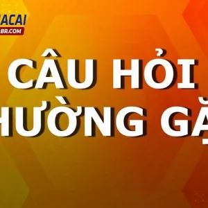 Kèo bồ đào nha thụy sĩ cần bao nhiêu tiền？ Bảng giá tham khảo