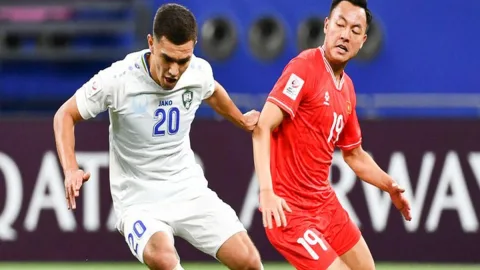 Đọc sách bão lửa U23 thường châu tuyết trắng có cần gì đặc biệt không？