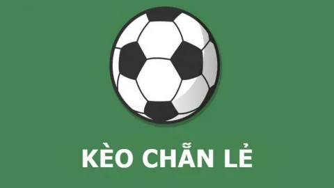 Kèo EU Là Gì？ Hướng dẫn cách chơi Kèo EU đơn giản cho người mới thắng lớn.