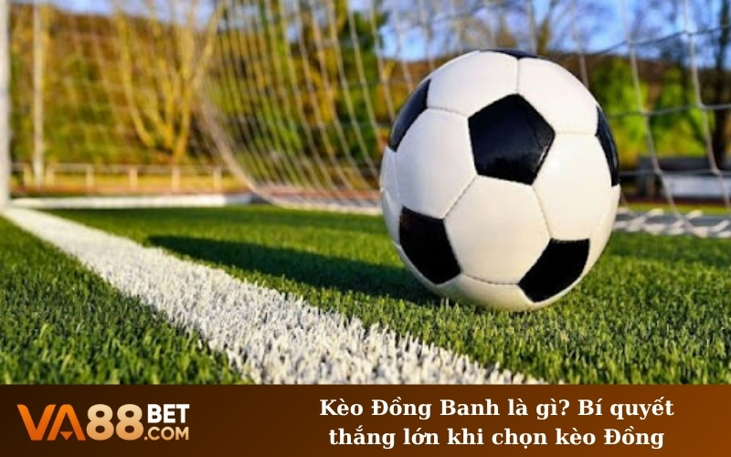 Hướng dẫn đọc Kèo Đồng Banh chi tiết từ A đến Z cho tân thủ mới vào nghề.
