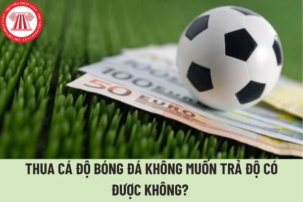 Cá Cược Bóng Đá Không Thua: Dân Chuyên!